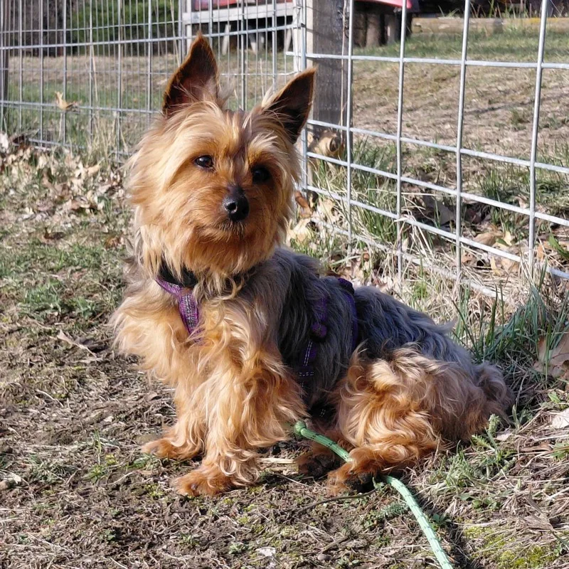 Winnie