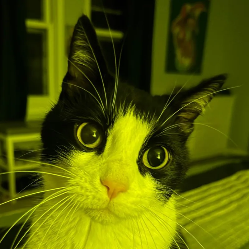 Alexei Catty thumbnail 2