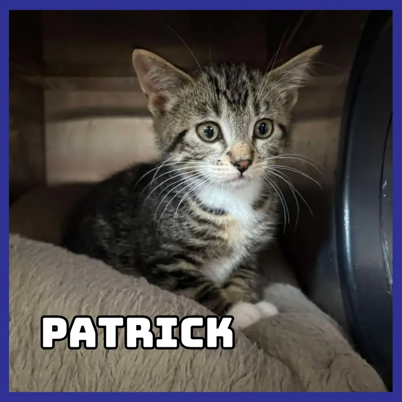 Patrick