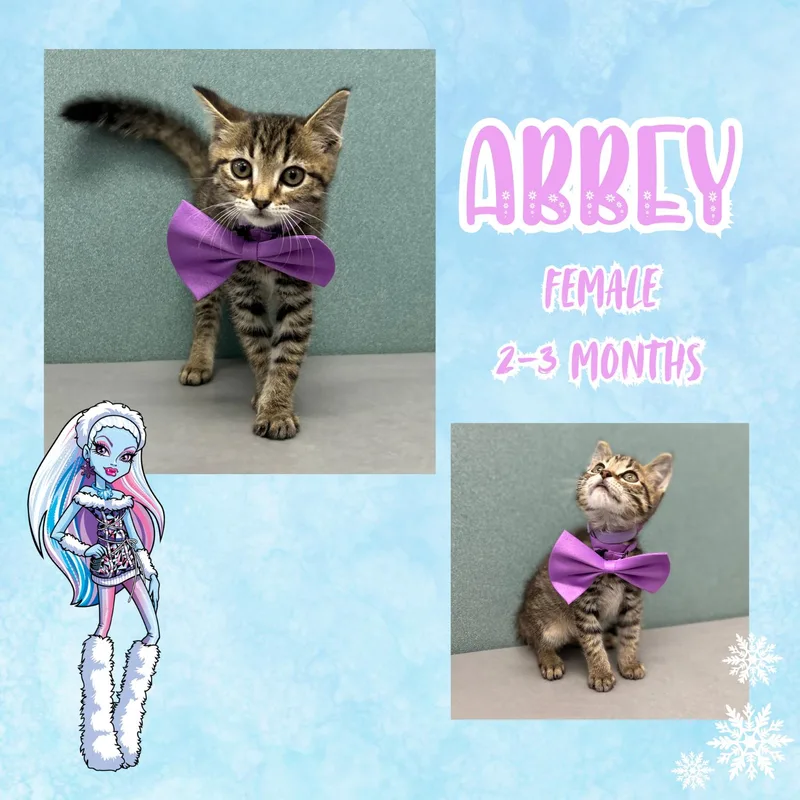 Abbey thumbnail 3