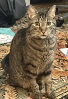 Lucas  Courtesy Listing thumbnail 4