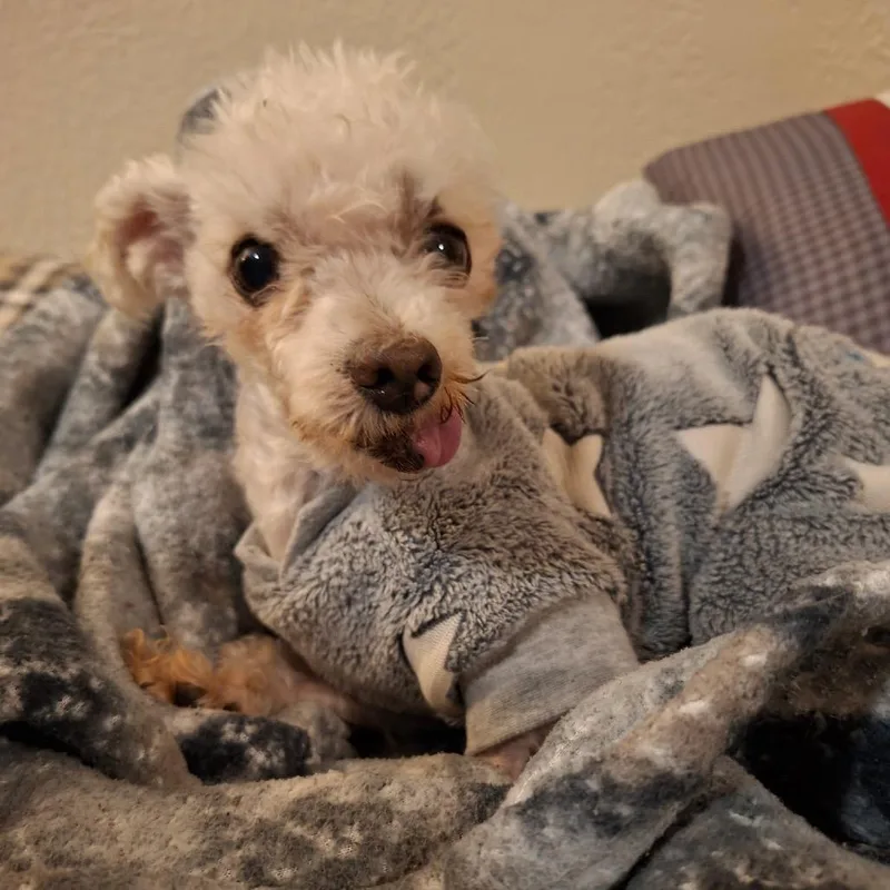 Charles "Charlie" thumbnail 5