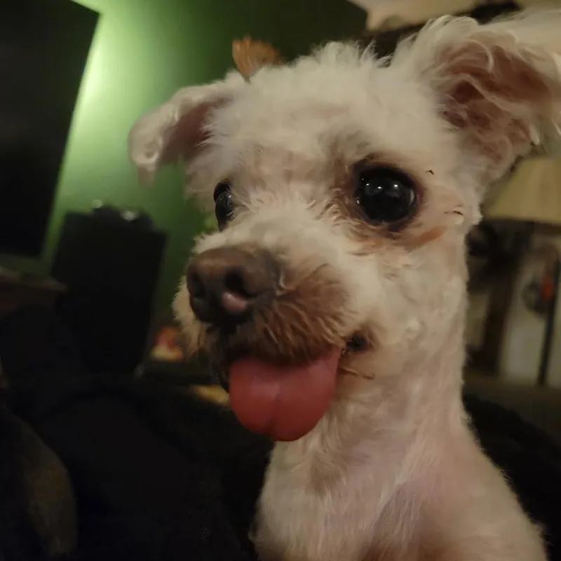 Charles "Charlie" thumbnail 6