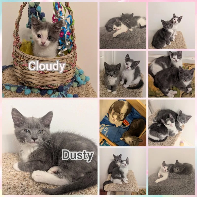 Cloudy & Dusty