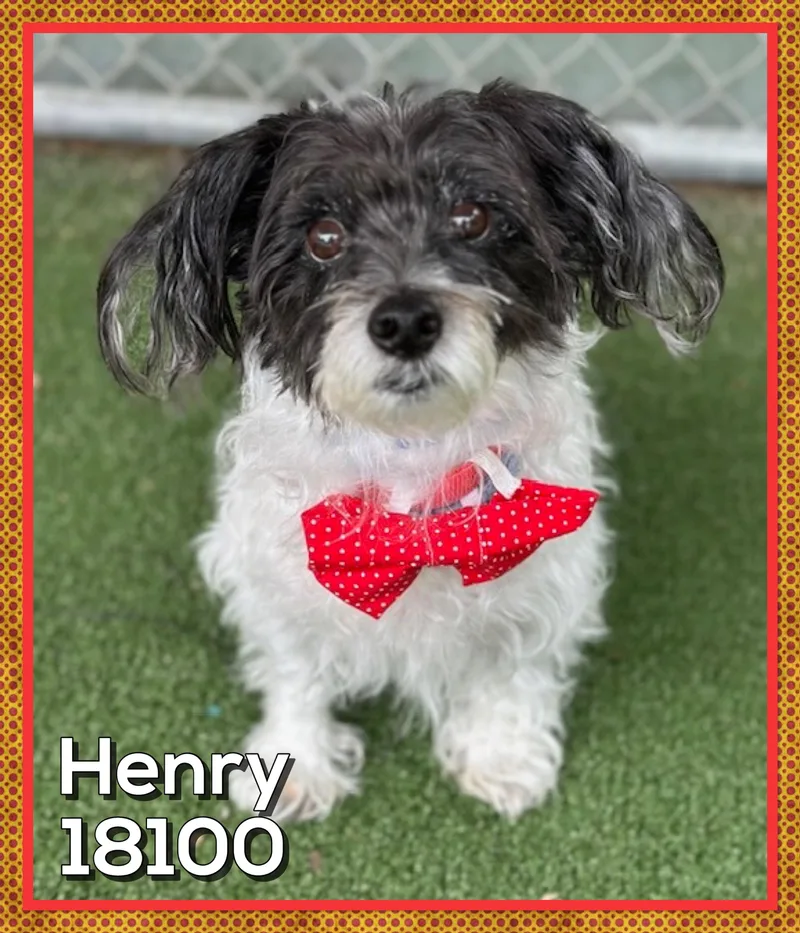 Henry