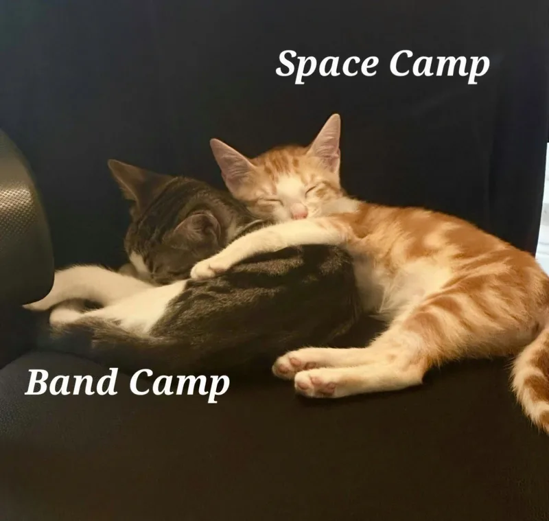 Band Camp thumbnail 3