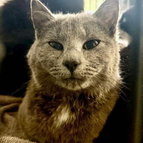 Two Gals thumbnail 2