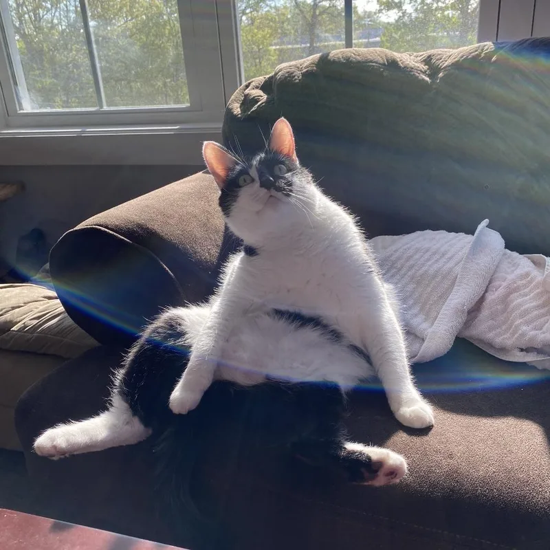 Smudge