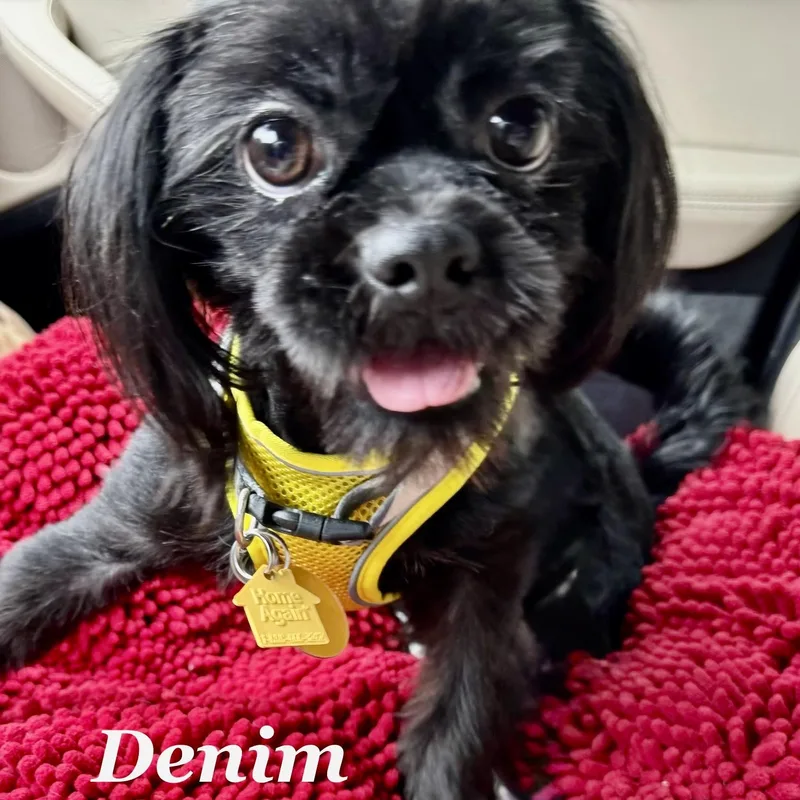 Denim Miller thumbnail 3