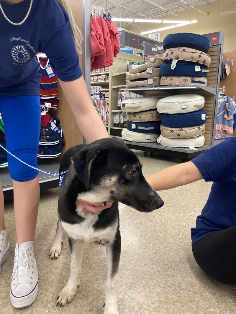 Reba & Rita thumbnail 2