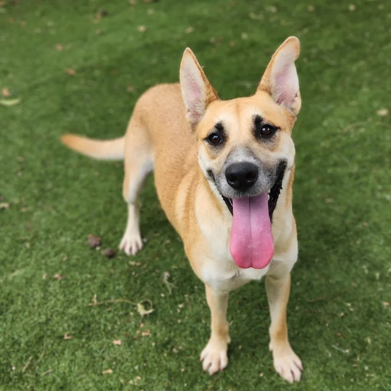 Sushi Jum thumbnail 2