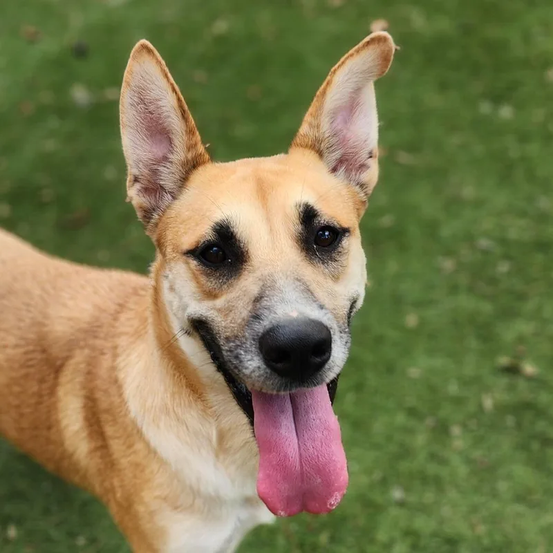 Sushi Jum thumbnail 3