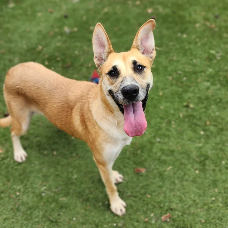 Sushi Jum thumbnail 5