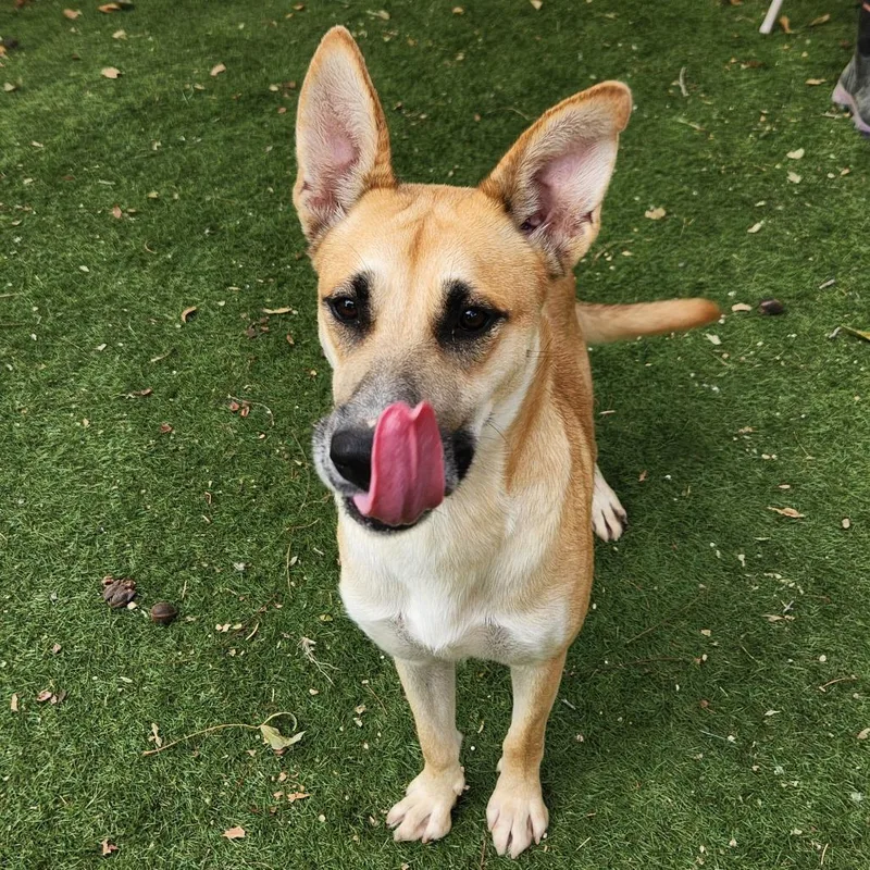 Sushi Jum thumbnail 6