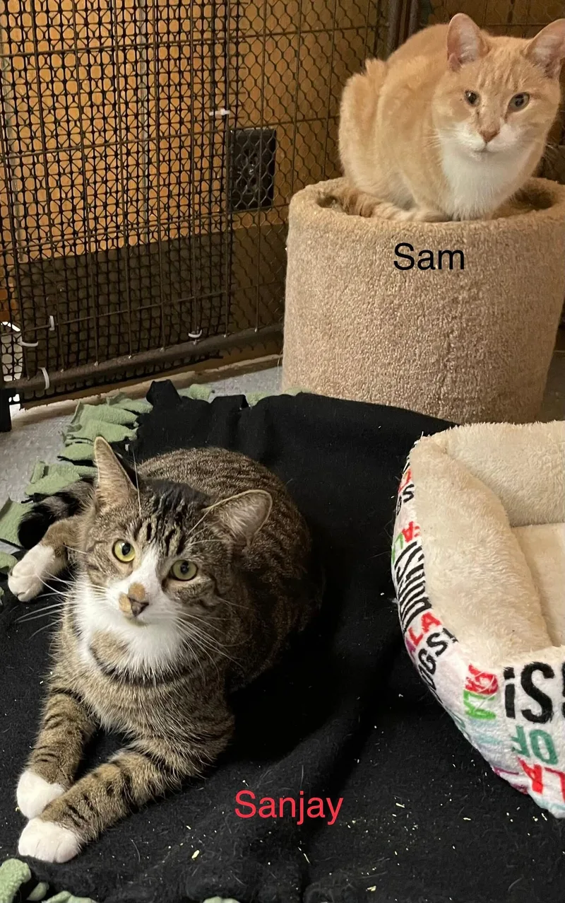Sam