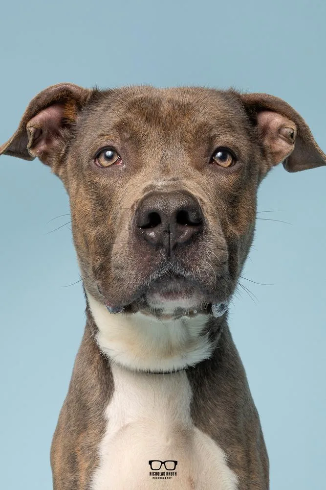 Ace Frehley thumbnail 2