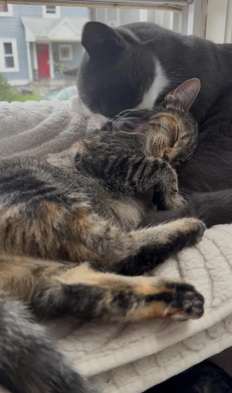 Tt And Penny thumbnail 2