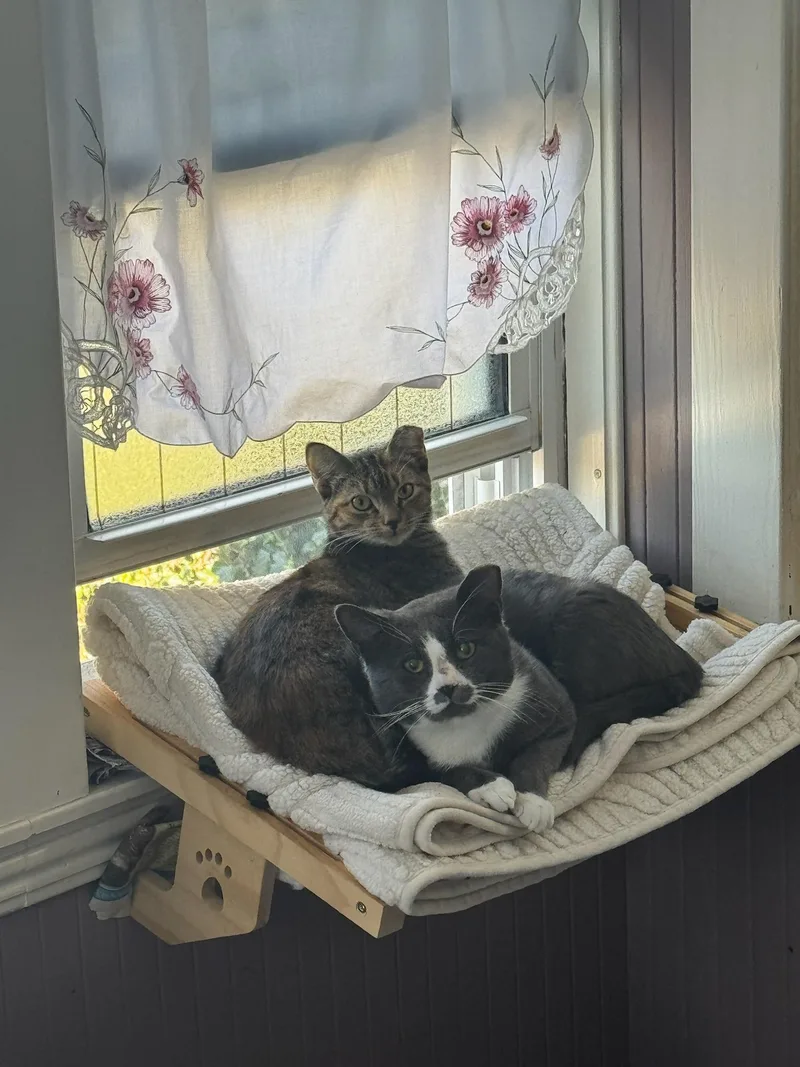 Tt And Penny thumbnail 3