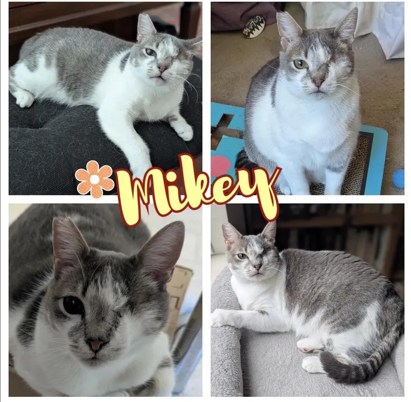 Mikey thumbnail 2