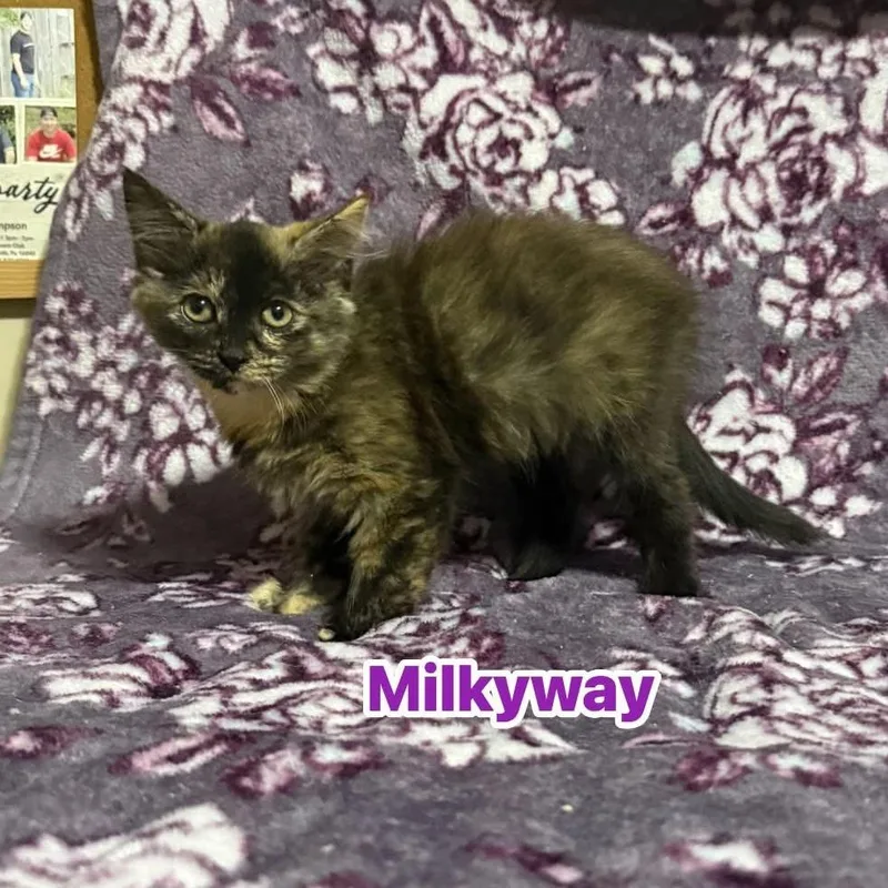 Milkyway
