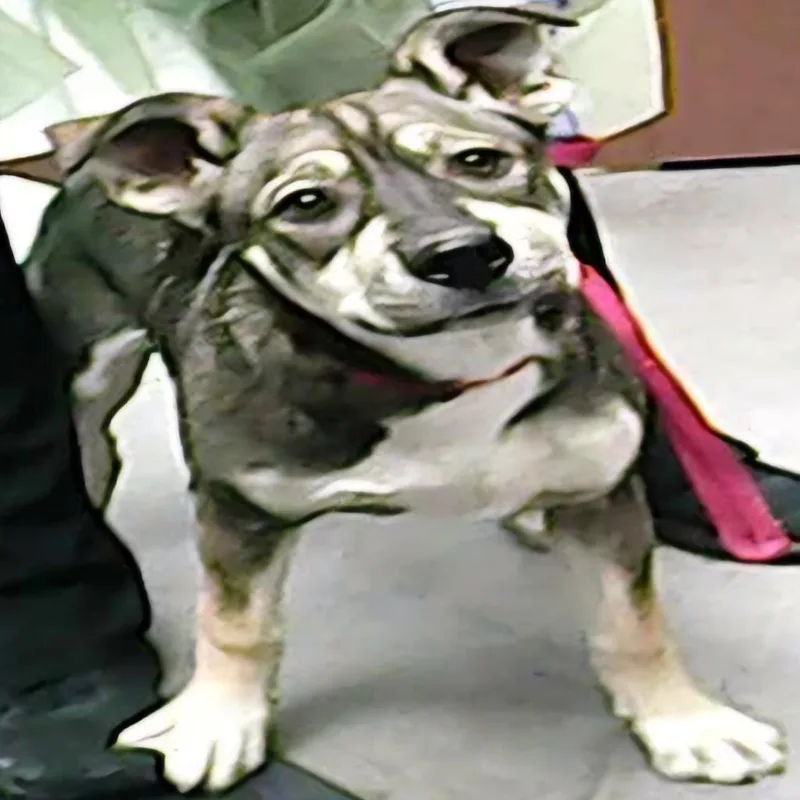 Merryweather thumbnail 2