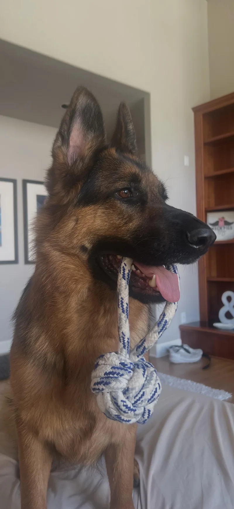 Sokah