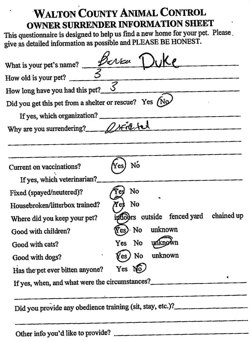 Duke thumbnail 2