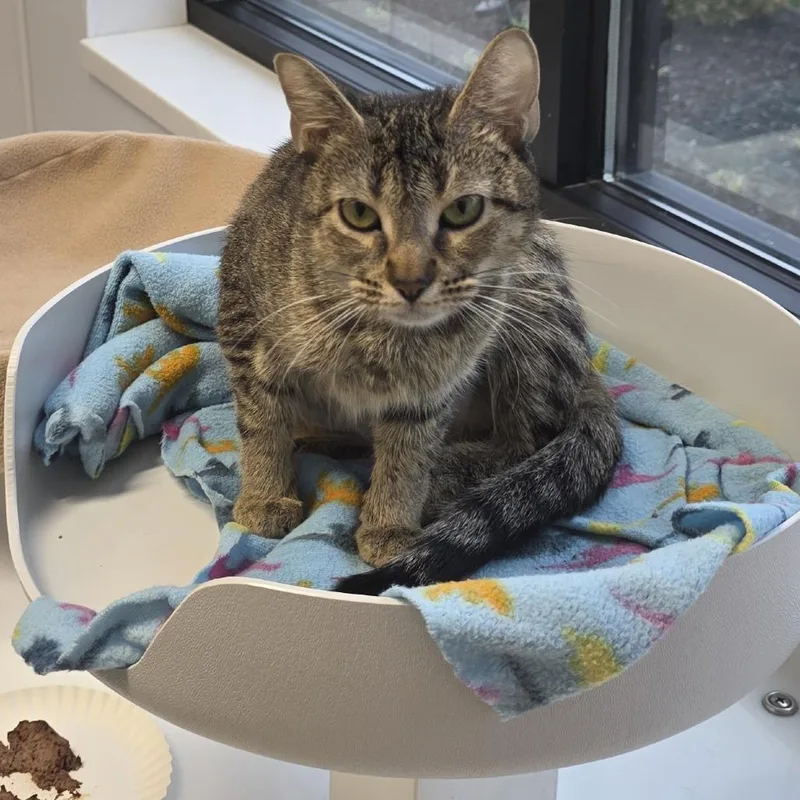 Daisy Mae thumbnail 4