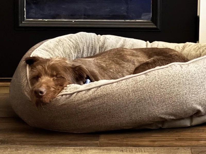 Cocoa thumbnail 2