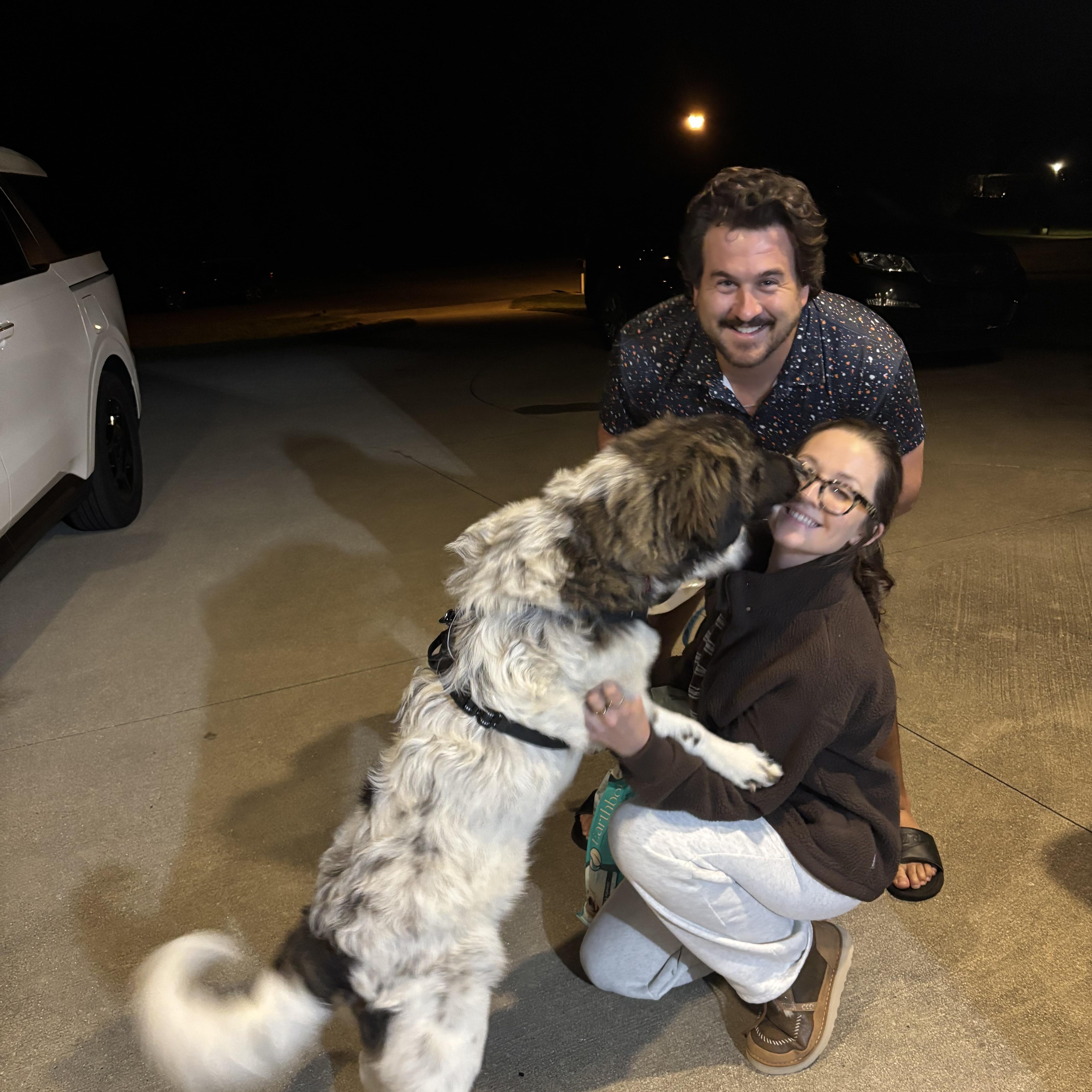 A baby large-sized male Great Pyrenees dog named Happy for adoption in Tunica, MS
