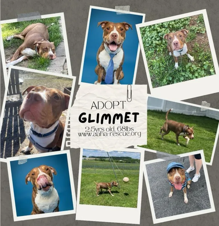 Glimmet