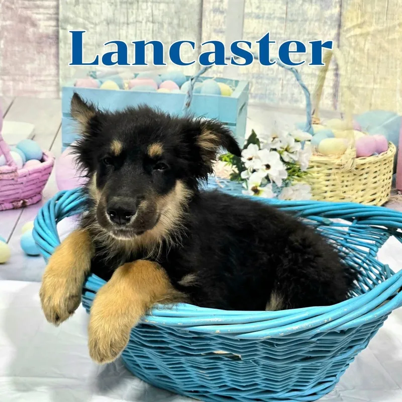 Lancaster