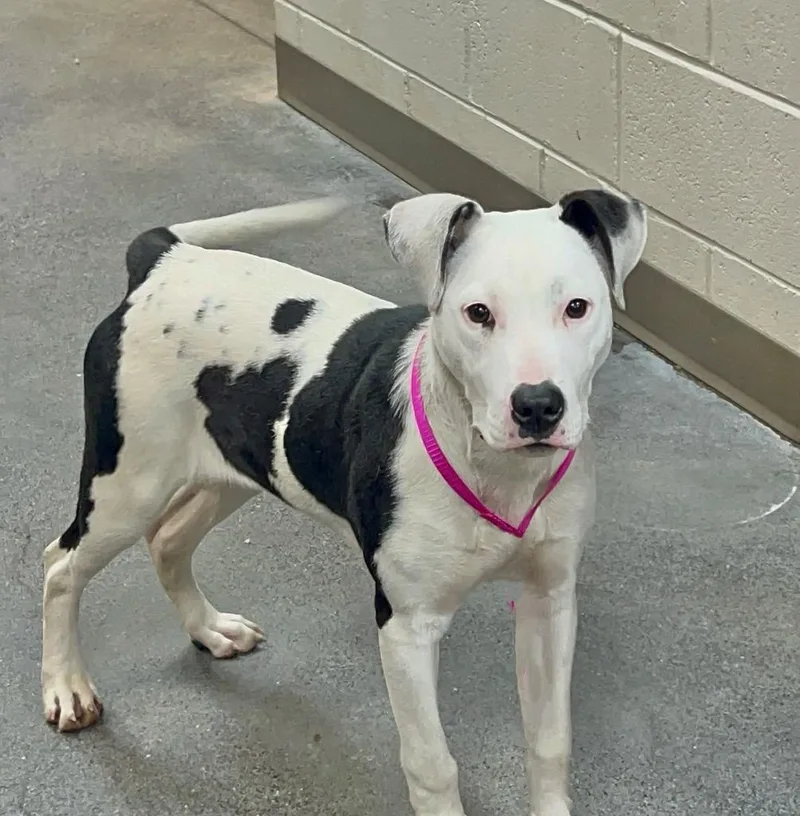 Skittles thumbnail 2