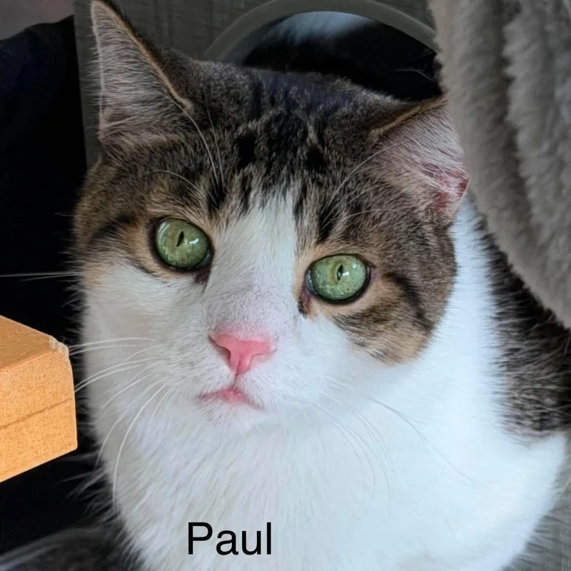 Peter & Paul thumbnail 3