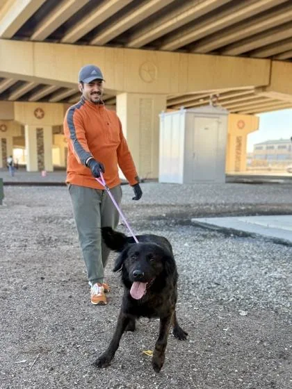 Sirius Black thumbnail 4