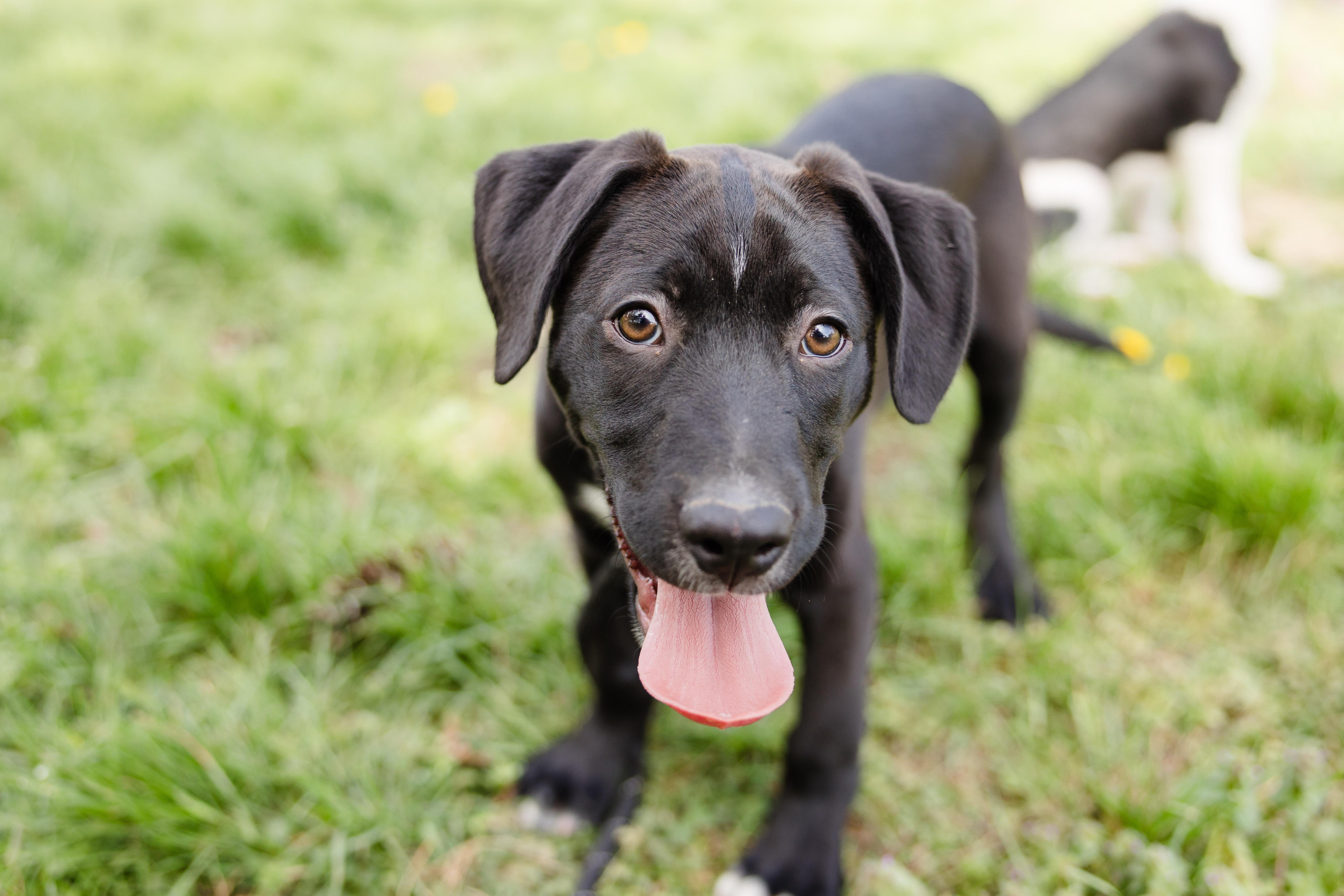 Sharkboy thumbnail 2