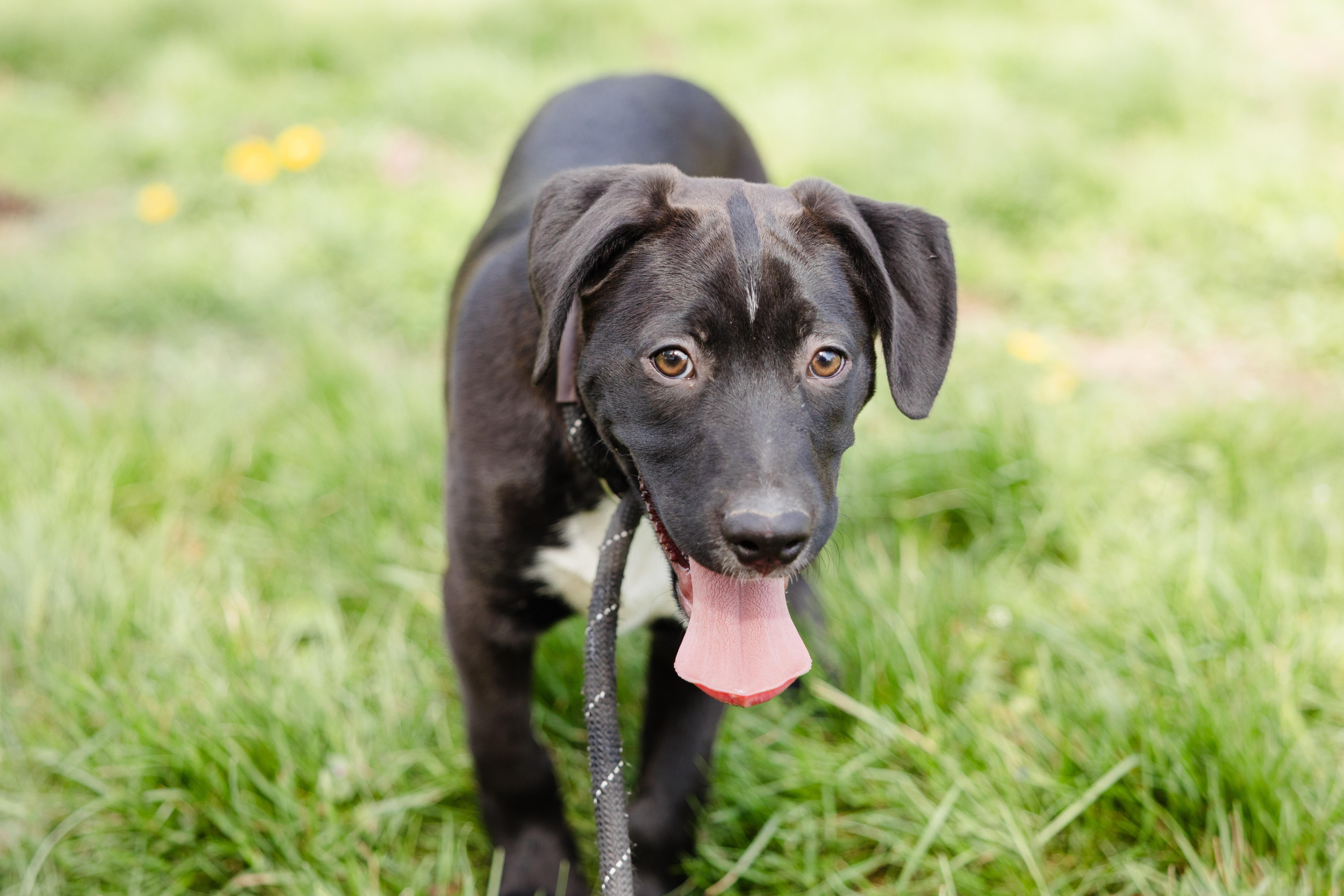 Sharkboy thumbnail 3