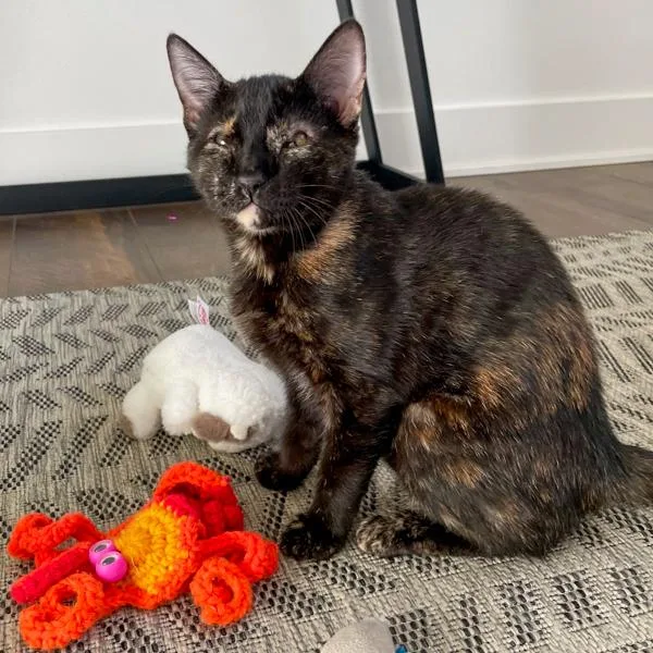 Sofi  Bonded Buddy thumbnail 2