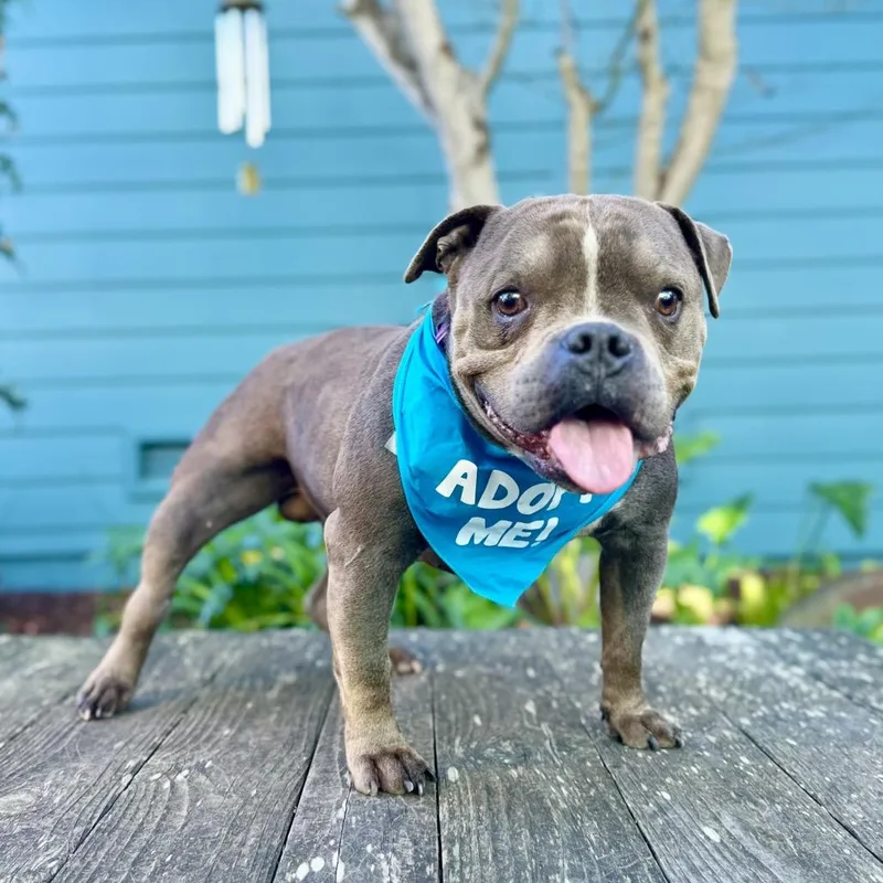 Hubba Bubba thumbnail 2