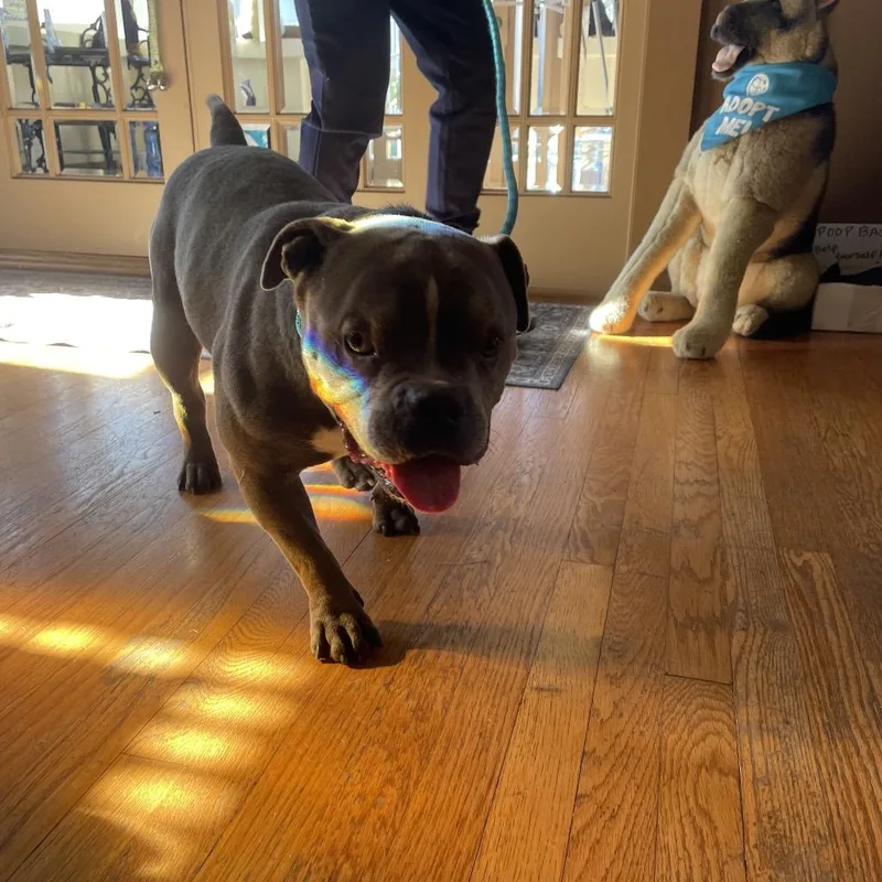 Hubba Bubba thumbnail 3