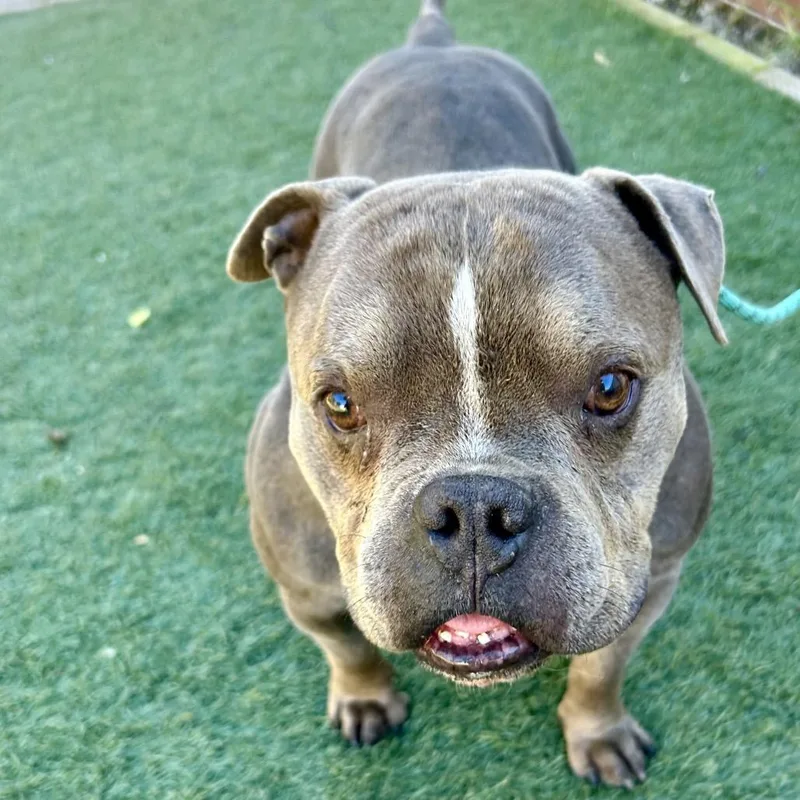 Hubba Bubba thumbnail 4