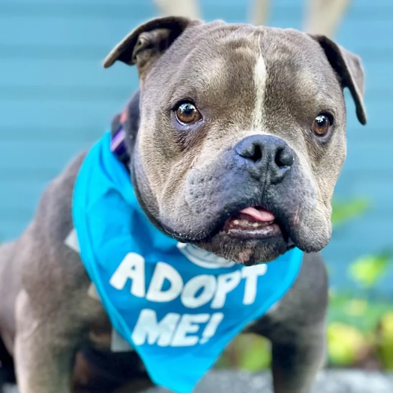 Hubba Bubba thumbnail 5