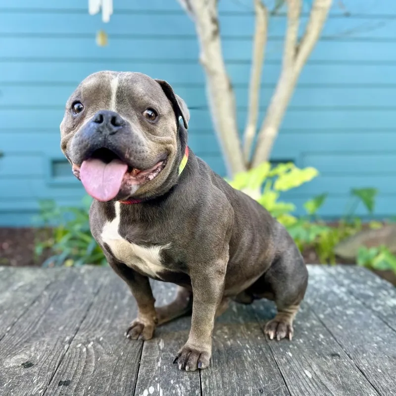 Hubba Bubba thumbnail 6