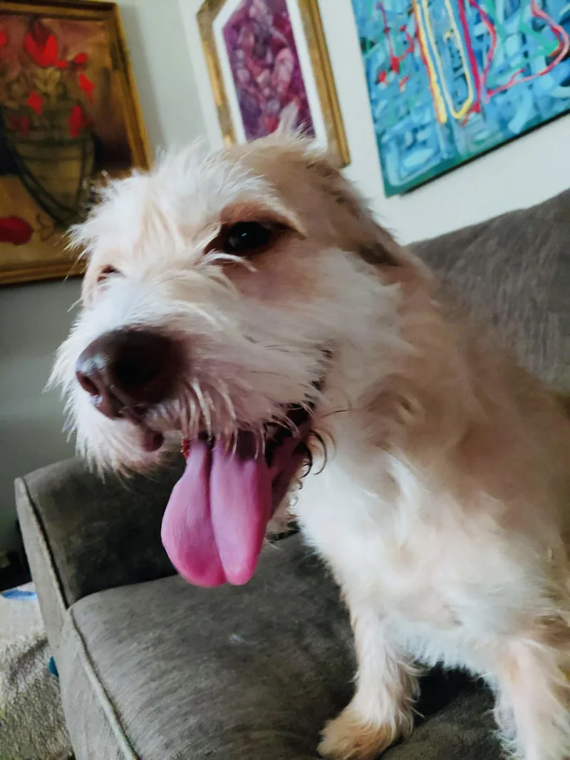 Millie thumbnail 2