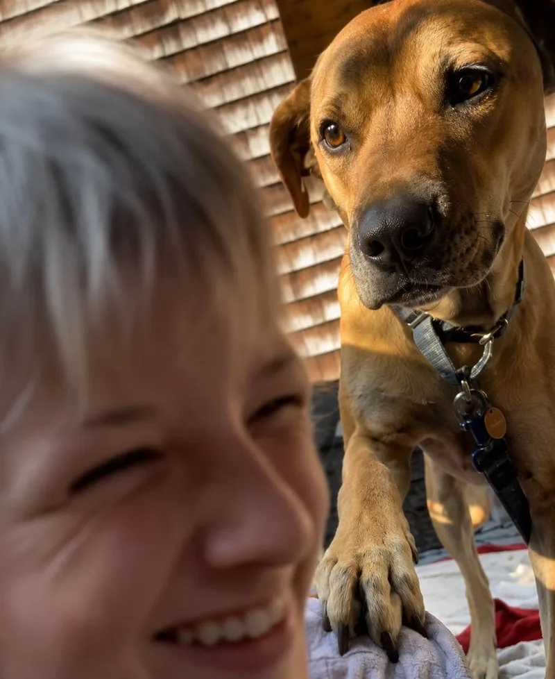 Willow Scooby Doo thumbnail 3