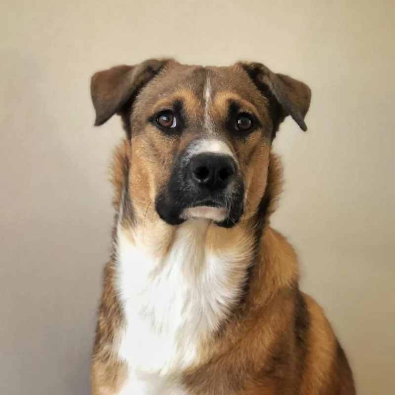 Mateo