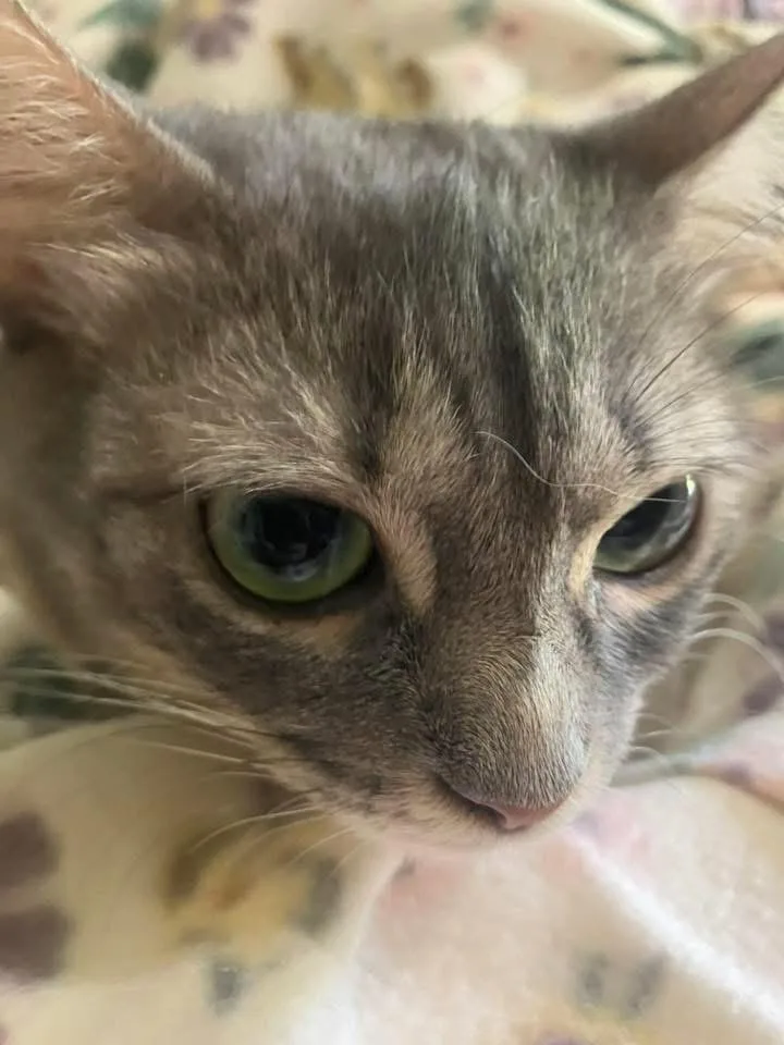 Jada thumbnail 3