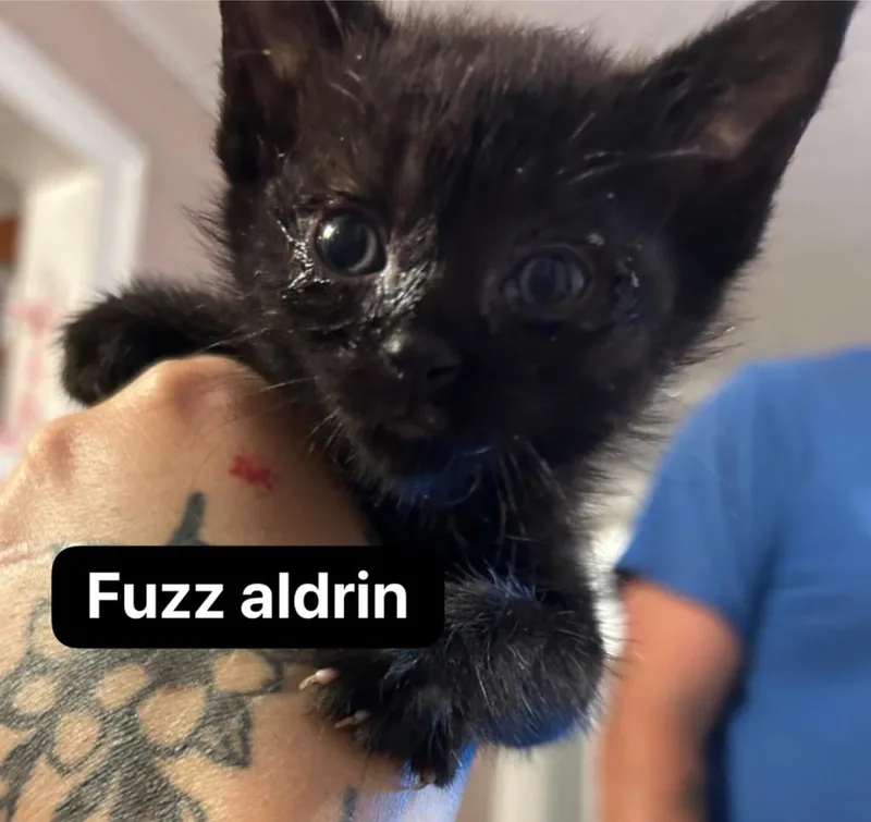 Fuzz Aldrin thumbnail 3