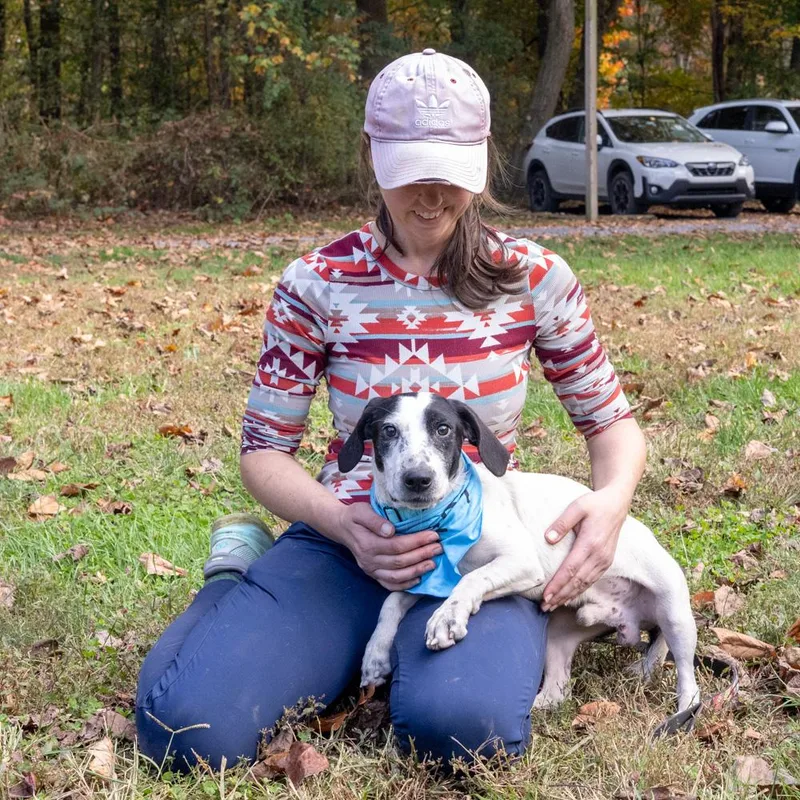 A young small-sized male Black Basset Hound dog named EarlAvail for adoption in West Grove, PA