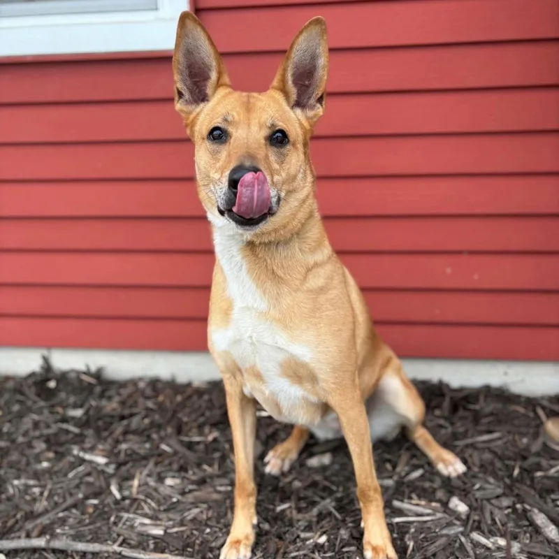 Toulouse thumbnail 2